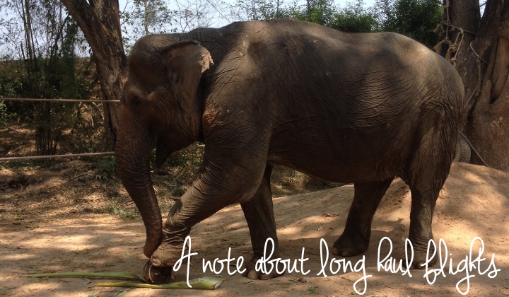 A note about long haul flights